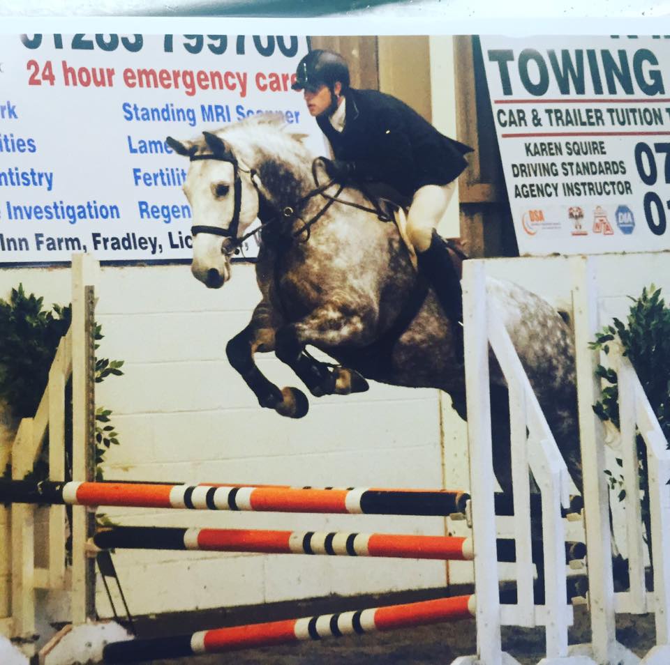 High Offley April (Arturo 8 x Libero H) - Showjumping Broodmare